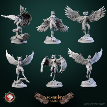 Harpy Bundle